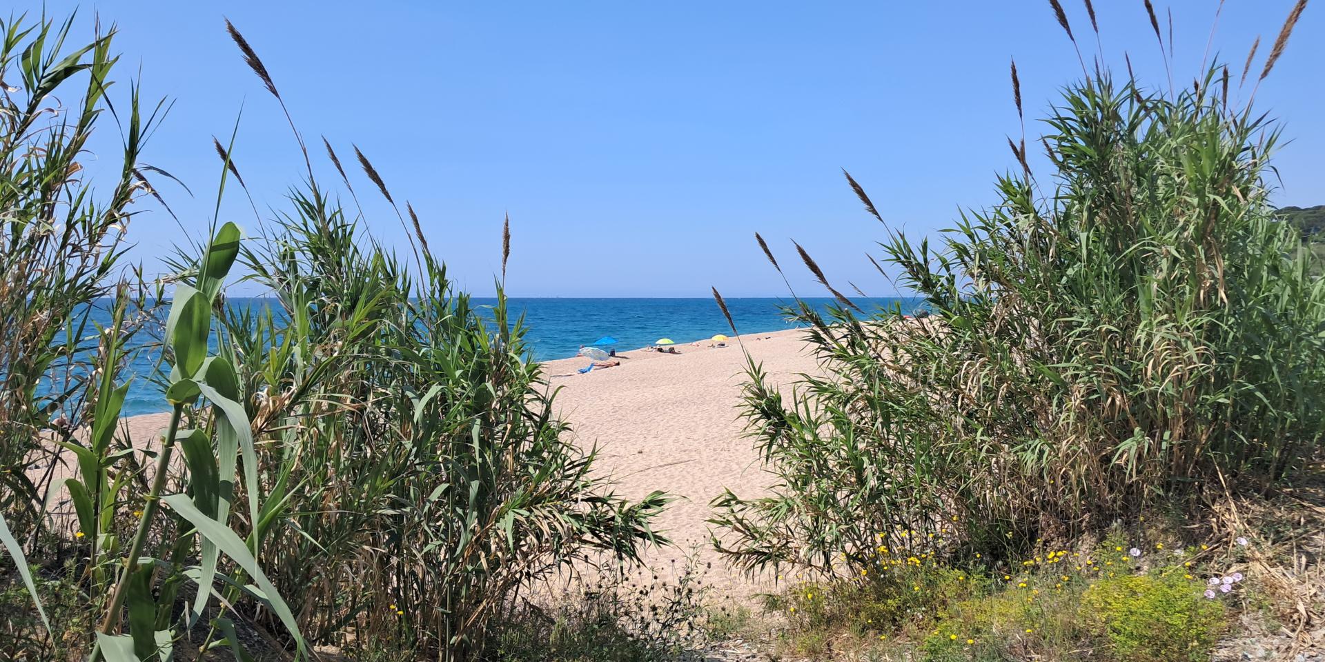 0 plage 20250518 113947 copie