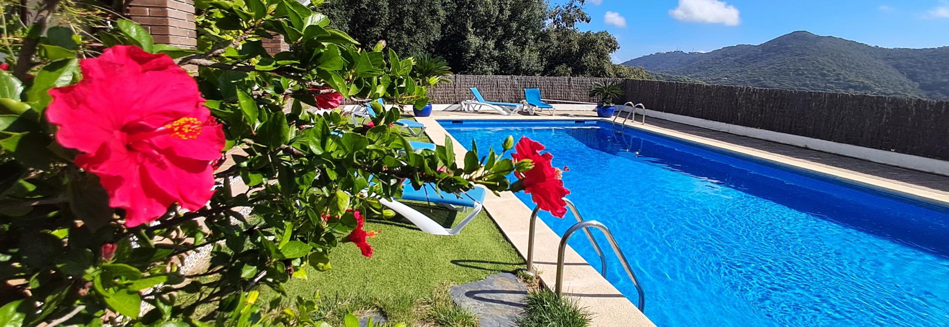 1 4 pano ibiscus ok piscina 20241016 132738