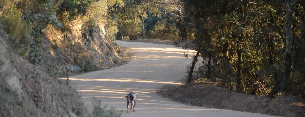 1 parc pano orius rec redim