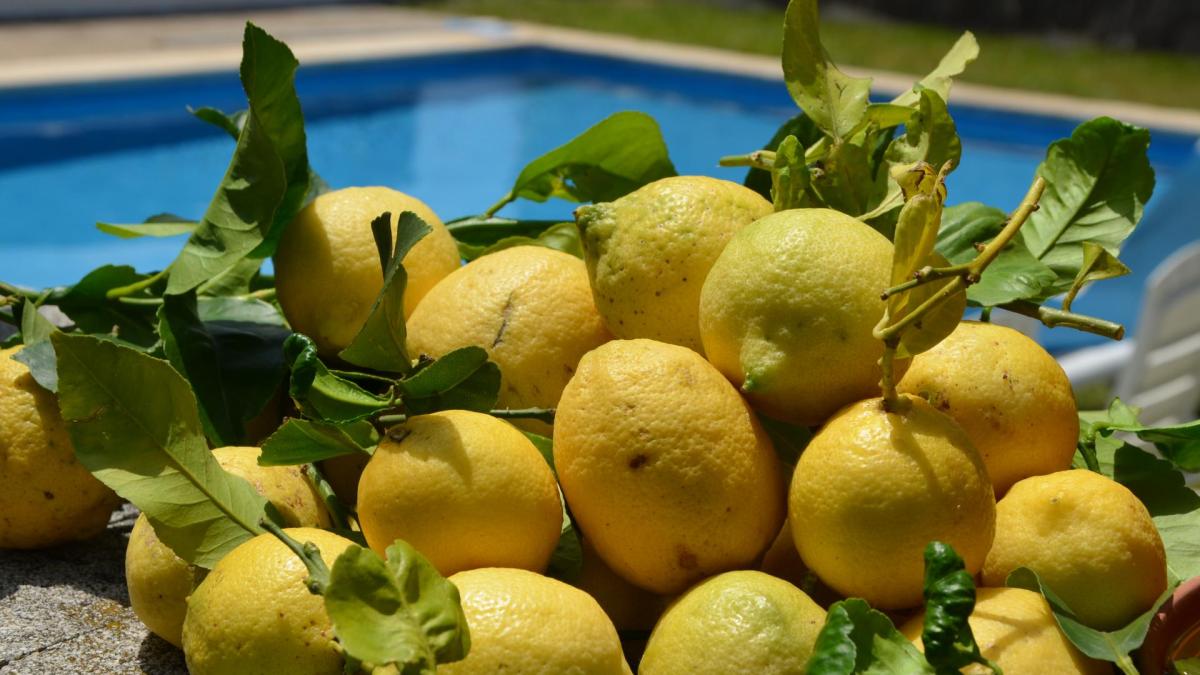 A limoness