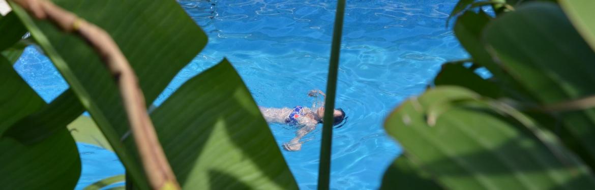 Sc rec vue piscine banane silvi