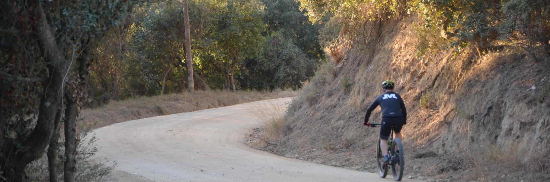 Vtt pano
