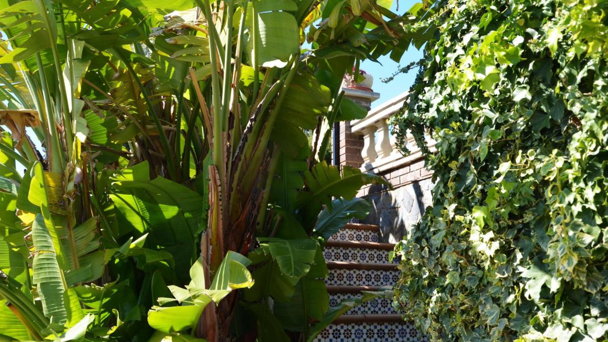Xxx redimae escalier piscine